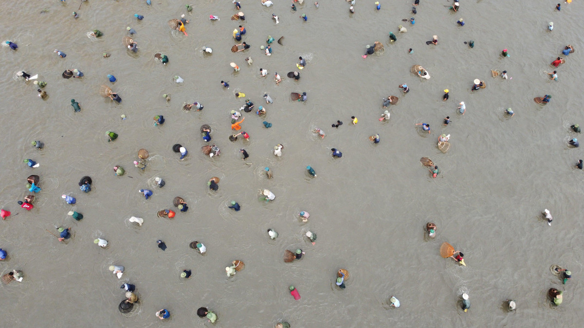 Ngay từ sáng sớm, hàng nghìn người dân từ khắp nơi đổ về. Sau tiếng trống khai hội, hàng nghìn người lao xuống đầm bắt cá, trên bờ người dân hò reo, cổ vũ. (Sau tiếng trống, hàng nghìn người mang theo ngư cụ đổ xô xuống đầm đánh bắt cá)