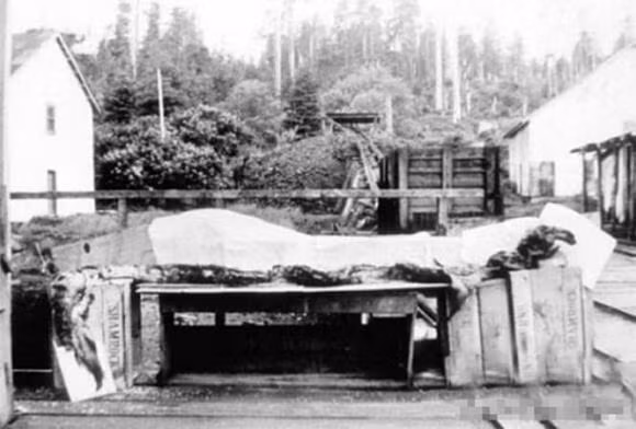 Quai vat bien thuc su voi nhung lan nhin thay thuong xuyen-Hinh-3