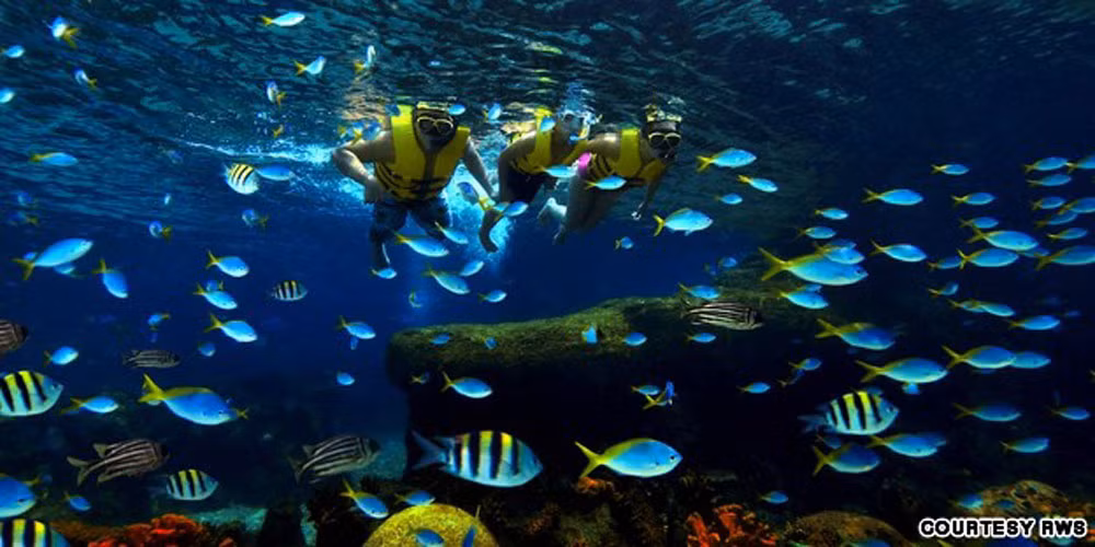 Để thăm thủy cung, du khách phải trả 24 USD cho người lớn và 16 USD cho trẻ em và người cao tuổi.