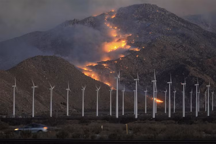 Cháy rừng lan rộng ở phía bắc núi San Jacinto, California ngày 8/8.
