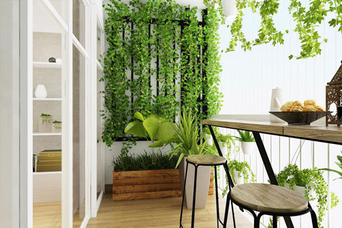 Nhin la me can ho xanh ma ca tinh o Ha Noi-Hinh-11