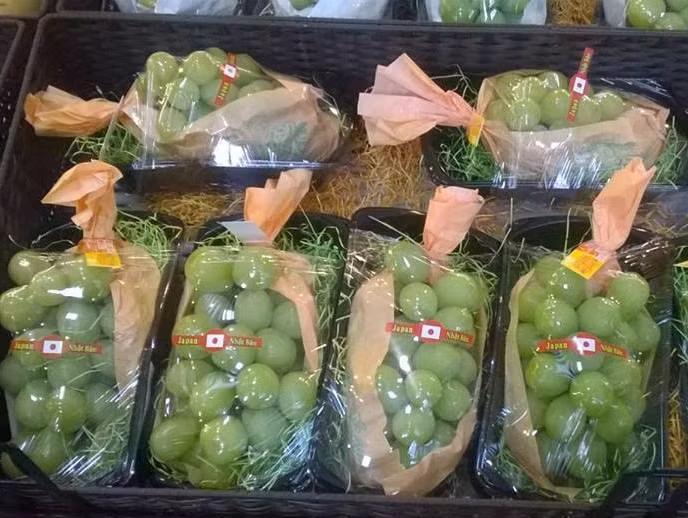 Dân sành bạo chi mua hoa quả Nhật - Hàn - Hình 2 Dan sanh bao chi mua hoa qua Nhat - Han-Hinh-2