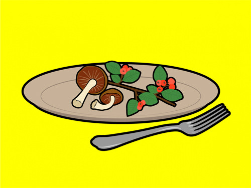  Mẹo 6: Nếu một động vật ăn một cái gì đó, thì thực phẩm này cũng đủ an toàn để bạn có thể ăn Thực tế: Chim và sóc có thể ăn một số loại hoa quả và nấm nhất định mà nếu bạn ăn chúng, bạn sẽ chết ngay.