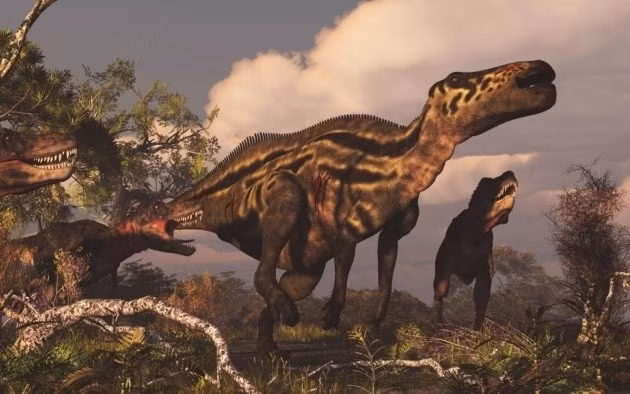 Shantungosaurus là động vật ăn cỏ, tồn tại trên trái đất cách đây 70 triệu năm. Zhao, một nhà khảo cổ, đã phát hiện hóa thạch của loài động vật này vào năm 2007 tại khu vực châu Á. Ông cho biết chúng cao gần 17 m và nặng khoảng 23 tấn. Theo nghiên cứu, Shantungosaurus có khoảng 1.500 cái răng và nguồn thức ăn chính của chúng là thực vật.