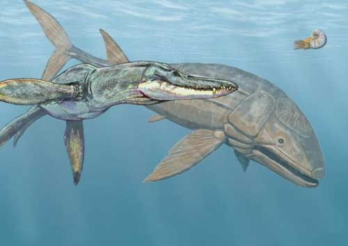 Nhà khoa học Arthur Smith Woodward đã phát hiện hóa thạch của Leedsichthys vào năm 1889. Nó có chiều dài gần 16 m và trọng lượng khoảng 50 tấn. Phần đuôi lớn cho phép nó di chuyển nhanh chóng và dễ dàng tại nhiều vùng biển.