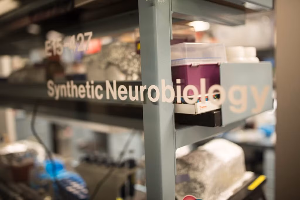 Một số phòng trong trung tâm cấm người lạ đi vào.