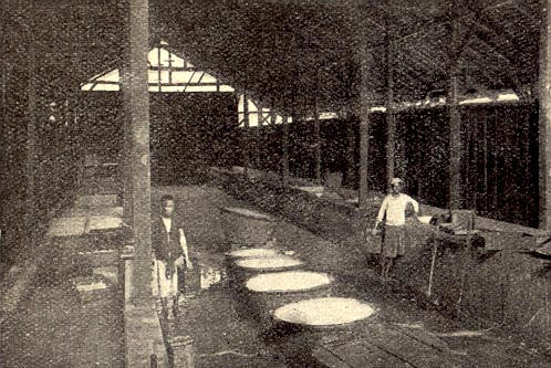 Trong xưởng chế biến cao su.