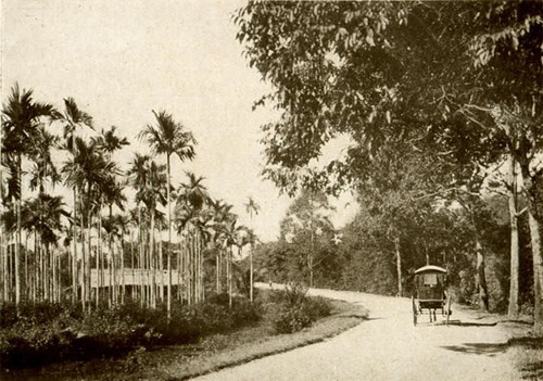 Trên đường Cái quan (đường Quốc lộ 1 ngày nay).