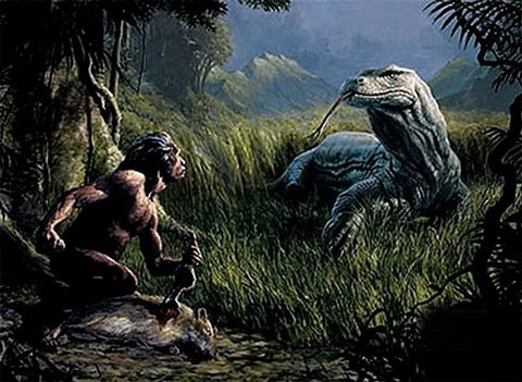 Các nghiên cứu gần đây nhất cho thấy chiều dài của Megalania khoảng 7m, nặng khoảng 600-620kg. Loài này đã trở thành loài thằn lằn lớn nhất trên cạn đã từng tồn tại. Thức ăn của nó bao gồm các loài thú có túi, như con chuột túi khổng lồ và gấu túi. Megalania giết con mồi chất độc tiết ra từ tuyến trong miệng.