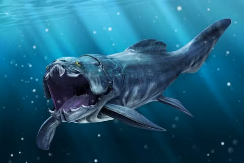  5. Cá bọc thép. Dunkleosteus là con cá lớn nhất trong thời tiền sử. Đầu và ngực của nó được bao phủ bởi các tấm xương như bọc thép. Thay vì răng, những con cá này sở hữu hai bản xương sắc bén, hình thành một cấu trúc như mỏ chim.