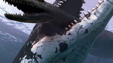 Trong khi cá mập trắng thích săn hải cẩu thì bữa ăn của megaladon lựa chọn là cá voi hay cá nhà táng. Các nhà khoa học đưa ra giả thuyết rằng loài này bị tuyệt chủng do đại dương lạnh dần, mực nước biển hạ thấp, và một sự suy giảm nghiêm trọng nguồn thức ăn của chúng.