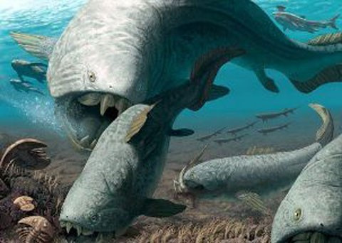 Dunkleosteus có khả năng tấn công với bộ hàm bọc thép của chúng đủ sức mạnh để cắt xé con mồi cũng có lớp da bọc thép như mình. Một trong những mẫu vật lớn nhất được tìm thấy dài 10m và nặng 4 tấn - là một con cá mà bạn sẽ không muốn bắt lên để xiên nướng. Loài cá này khá hung dữ, có thể ăn bất cứ thứ gì chúng gặp từ các loài cá nhỏ đến cá mập và thậm chí cả đồng loại.