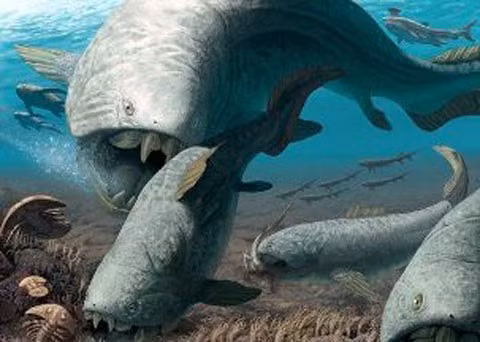 Dunkleosteus có khả năng tấn công với bộ hàm bọc thép của chúng đủ sức mạnh để cắt xé con mồi cũng có lớp da bọc thép như mình. Một trong những mẫu vật lớn nhất được tìm thấy dài 10m và nặng 4 tấn - là một con cá mà bạn sẽ không muốn bắt lên để xiên nướng. Loài cá này khá hung dữ, có thể ăn bất cứ thứ gì chúng gặp từ các loài cá nhỏ đến cá mập và thậm chí cả đồng loại.