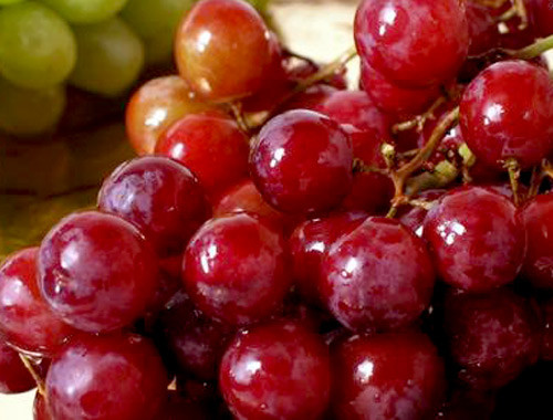 Nho Trung Quốc: Hóa chất vượt ngưỡng 3-5 lần. Theo Cục Bảo vệ thực vật (Bộ NN-PTNT) đã lấy 104 mẫu trái cây, rau củ nhập khẩu từ Trung Quốc và các nước khác đang lưu hành trên thị trường Việt Nam để phân tích chất lượng an toàn vệ sinh thực phẩm. Qua kiểm tra, đã phát hiện 2 mẫu nho Trung Quốc nhập qua cửa khẩu Lào Cai có dư lượng chất difenoconazole vượt ngưỡng 3-5 lần.