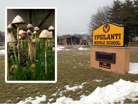 Cắt “của quý” sau khi ăn phải nấm gây ảo giác (Mỹ). Tháng 7/2013, một người đàn ông 41 tuổi, đến từ Colombia đã tự cắt bỏ “của quý” của mình sau khi ăn phải loại nấm gây ảo giác. Theo cảnh sát, khi được phát hiện, nạn nhân nude 100%, mất rất nhiều máu và đang la hét ở trong trường Ypsilanti, thuộc Michigan (Mỹ).