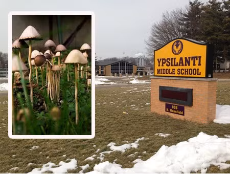 Cắt “của quý” sau khi ăn phải nấm gây ảo giác (Mỹ). Tháng 7/2013, một người đàn ông 41 tuổi, đến từ Colombia đã tự cắt bỏ “của quý” của mình sau khi ăn phải loại nấm gây ảo giác. Theo cảnh sát, khi được phát hiện, nạn nhân nude 100%, mất rất nhiều máu và đang la hét ở trong trường Ypsilanti, thuộc Michigan (Mỹ).