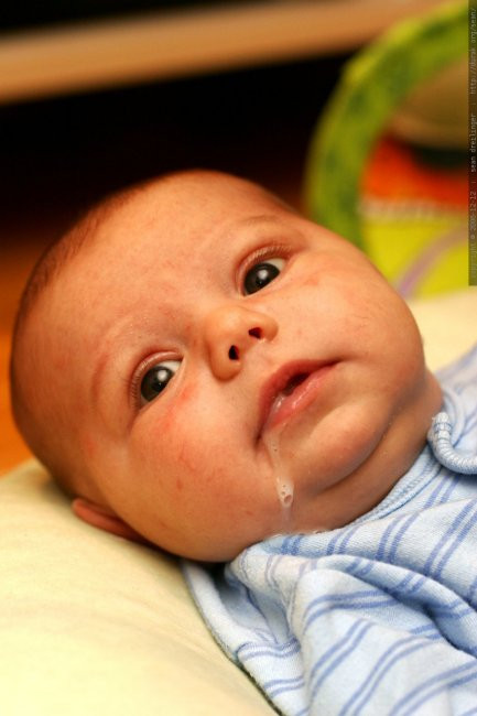 Đừng cười con, con còn bé mà!