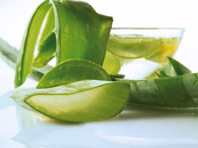 Nha đam. Bạn chỉ cần trộn 1 chén dầu gội mà bạn vẫn sử dụng hàng ngày với 1 thìa nước cốt chanh và 1 thìa gel lô hội. Nếu không có gel lô hội (loại này cũng được bán ở một số siêu thị), bạn có thể lấy lá nha đam tươi, bóc vỏ lấy phần trắng bên trong rửa sạch và xay nhuyễn. Trộn đều 3 loại nguyên liệu nói trên là bạn đã có được dầu gội lô hội tự chế để khắc phục tóc dầu.