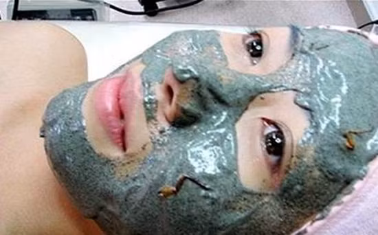 Quy trình tạo ra loại mặt nạ này cũng khá đơn giản. Đầu tiên bạn có thể bắt những con gián "đáng ghét", đập chết chúng và cho vào máy xay. Xay đều những con gián đã bắt được lên. Cuối cùng đem trộn với 1 chút kem và đắp lên mặt.