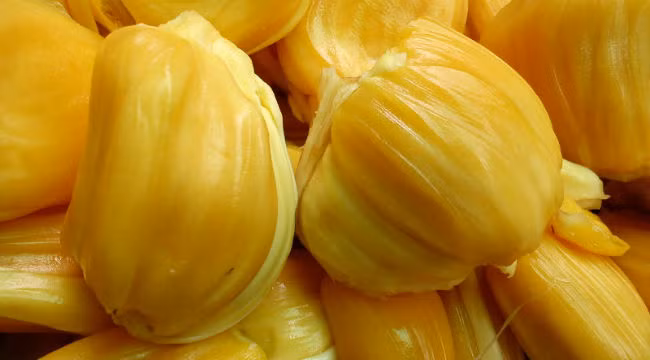 Mít. Mít là loại trái cây có tính nóng, nếu ăn quá nhiều và ăn liên tục thì làn da của bạn sẽ bị nổi mụn và nóng trong người. Vì vậy, cho dù bạn rất muốn ăn mít đi nữa thì bạn cũng nên hạn chế ăn lúc thời tiết oi bức và hạn chế ăn quá nhiều.