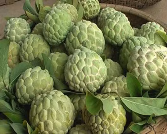 Na. Na mùi rất thơm, vị ngọt lịm, được nhiều người ưa thích vì dễ ăn. Tuy nhiên, quả na được coi là một trong số các loại quả gây nóng nhất cho cơ thể và chỉ cần ăn vài quả là có thể đã làm nổi mụn cho một số người vốn sẵn tính nóng trong người. Thậm chí, nhiều người khi ăn na xong sẽ bị táo bón, mọc mụn trên mặt.