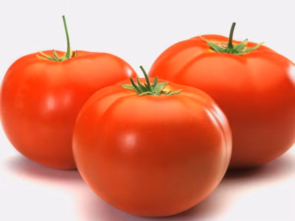 Trộn nước cà chua với sữa không đường theo tỷ lệ 2 – 4, thoa lên mặt rồi nằm thư giãn từ 20 – 30 phút. Sau đó, rửa mặt lại với nước sạch. Sử dụng mặt nạ cà chua - sữa tươi 3 lần một tuần để có hiệu quả tốt nhất.