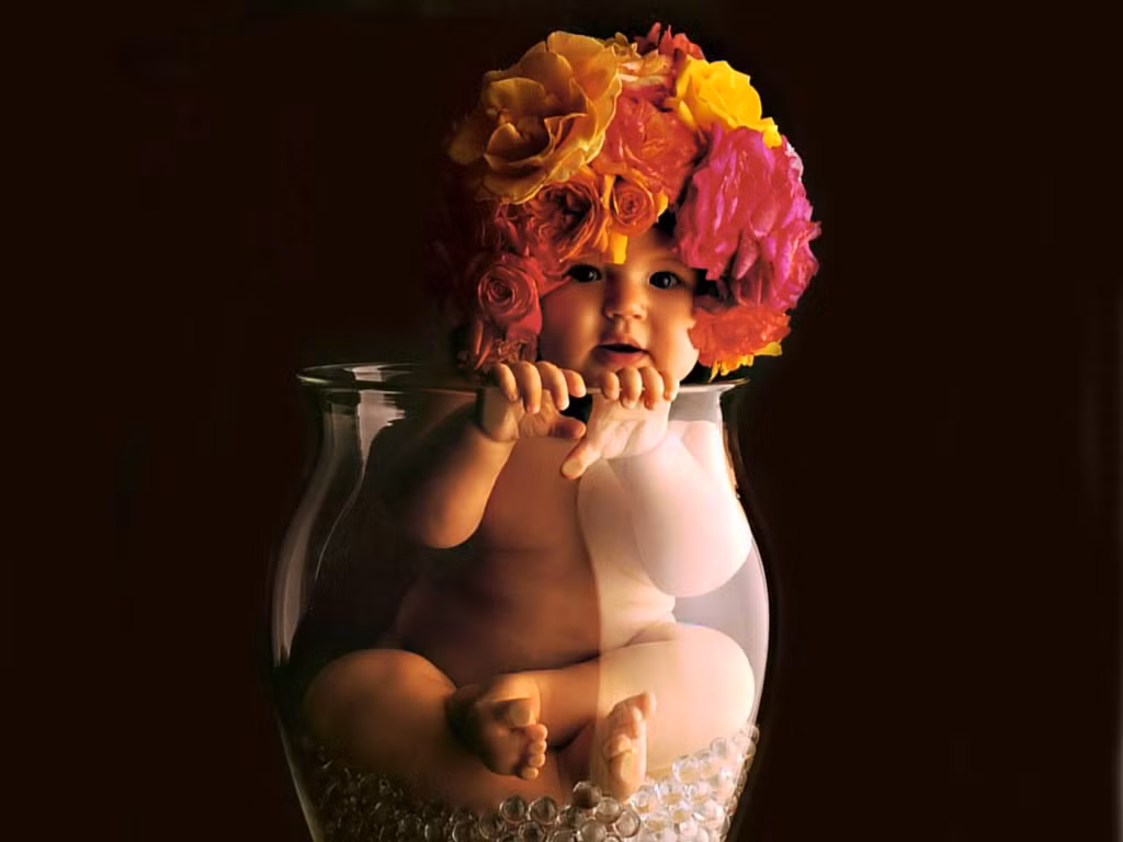 Bông hoa hồng rực rỡ khoe sắc trong lọ thủy tinh trong suốt.