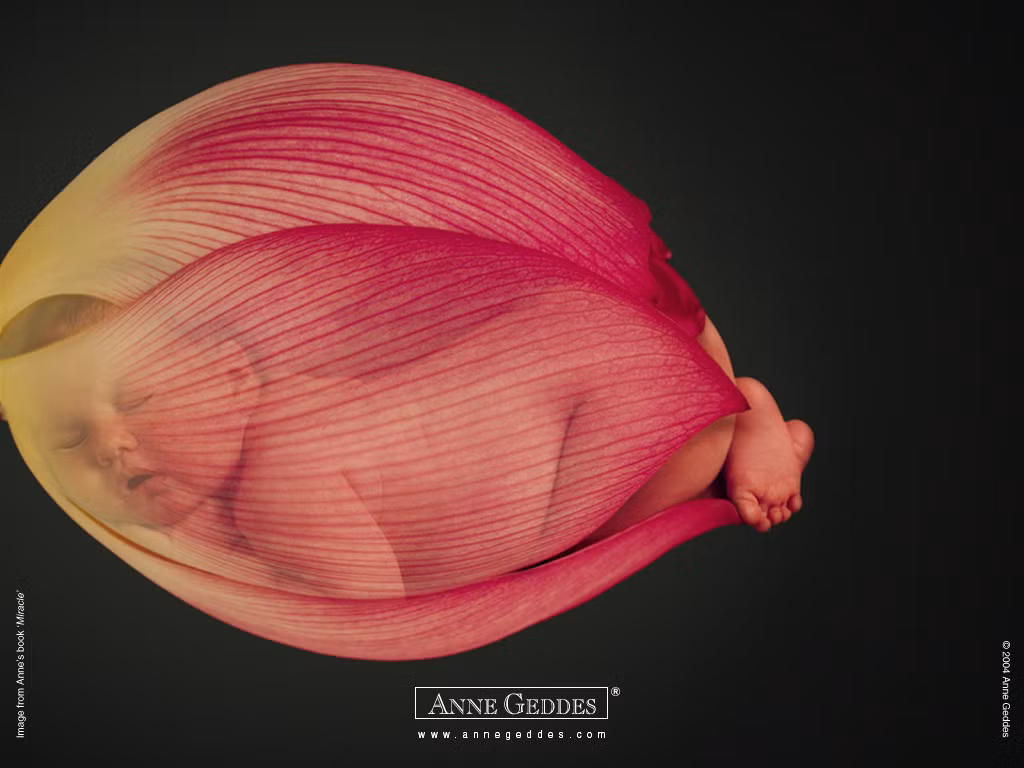 Em ngủ ngon quả!