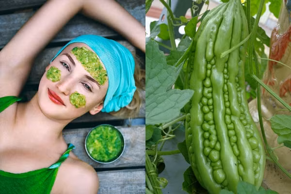 Trị mụn. Mướp đắng giúp thanh nhiệt giải độc, thúc đẩy quá trình trao đổi chất trong cơ thể nên có tác dụng rất tốt trong điều trị mụn. Theo đó bạn hãy lấy mướp đắng thái lát thật mỏng và đắp lên vùng da bị mụn. Mỗi tuần 2 lần như vậy bạn sẽ nhanh chóng nhận được hiệu quả tích cực. Cũng đừng quên rửa sạch mặt sau 20 phút áp dụng.