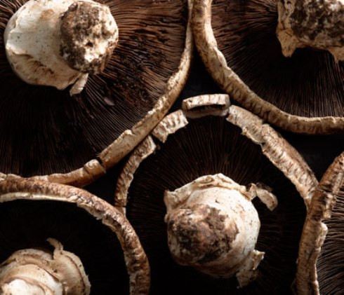 Nấm là nguồn thực phẩm thiên nhiên dồi dào vitamin D, chất sợi xơ, các chất vitamin và chất khoáng khiến bạn có cảm giác no lâu, hạn chế cơn thèm ăn. Các vitamin và chất khoáng này giúp cân bằng dinh dưỡng trong quá trình giảm béo nên việc giảm béo với nấm bạn vẫn luôn cảm thấy khỏe khoắn và thoải mái.