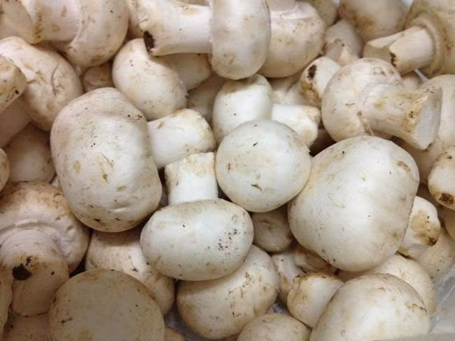 Nấm. Trong nấm có chứa rất nhiều axit amin và các loại men có lợi, đặc biệt là có chứa lentinan, chất này có khả năng ức chế được sự phát triển của các vi khuẩn gây ra những bệnh máu trắng và ung thư ác tính. Ngoài ra, ăn nhiều nấm hoặc canh nấm sẽ nâng cao sức đề kháng của cơ thể, phòng các bệnh đường hô hấp, loại bỏ các độc tố trong máu, rất có lợi cho việc phòng ngừa bệnh máu trắng ở trẻ sơ sinh.