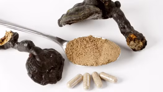 Nấm linh chi. Nấm linh chi tăng cường hoạt động của quá trình trao đổi chất, đốt mỡ nhanh, giảm sự hình thành của các tế bào mỡ và giúp cơ thể bạn thải độc hiệu quả hơn. Vì linh chi có tác dụng đối với chức năng gan, nó có thể giúp làm tan mỡ và chất bột.