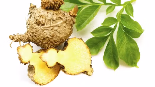 Củ konjac. Cây konjac có nguồn gốc từ châu Á và được trồng trong nhiều năm để lấy rễ vì nhiều tinh bột. Xơ được chiết xuất từ rễ cây được sử dụng để làm mỳ sợi, kẹo và món tráng miệng. Rễ cây konjac chứa hàm lượng polysaccharide glucomannan cao. Glucomannan là một loại chất xơ và phần lớn nó bị thải loại ra ngoài. Tiêu thụ đủ chất xơ sẽ hỗ trợ tiêu hóa và giúp bạn cảm thấy no lâu.