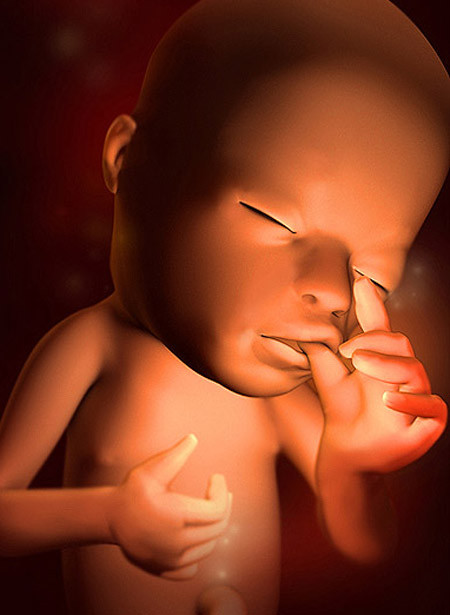 Tuần thai thứ 15: Em bé biết cười mỉm và học cách thở trong bụng mẹ. Bé đang lớn lên từng ngày, không chỉ là sự thay đổi của hình dáng đầu, mí mắt mà là toàn cơ thể. Bé còn mọc rất nhiều lông tơ, bao phủ toàn bộ cơ thể và giúp bảo vệ làn da của bé. Lông tơ thường biến mất trước khi bé chào đời. Nhưng ở một số bé sơ sinh, lông tơ có thể còn xuất hiện trên vai, lưng, trán. Khoảng một tuần sau sinh, lớp lông tơ này cũng biến mất. Tóc của bé cũng bắt đầu phát triển và có màu riêng biệt.