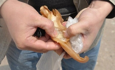 Tai lợn làm bằng nhựa. Tai lợn này không bình thường, nó không chỉ có mùi hóa học khó ngửi mà còn vừa xé đã rách. Sau đó cơ quan chức năng đã vào cuộc và phát hiện một khu chuyên chế biến tai lợn giả. Nhân viên điều tra cho biết, bì của số tai lợn giả không có tổ chức huyết quản và sụn, mùi của nó rất khó ngửi, có thể dùng vật cứng đâm thủng, không có độ dai như tai lợn thật, thậm chí dễ dàng xé rách chúng bằng tay.