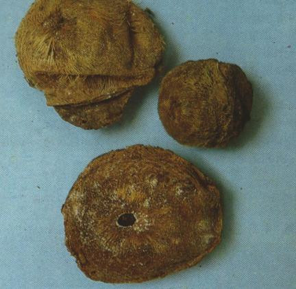 Khi nhét vào rốn, quả nhiên thuốc phát huy công dụng mạnh mẽ, khiến Triệu Phi Yến và em gái Hợp Đức luôn quyến rũ nhờ nước da nõn mượt và hừng hực sắc xuân. Nhưng nàng ta đâu ngờ, thần dược “Hương cơ hoàn” là con dao hai lưỡi. Chất độc trong thuốc, đặc biệt là xạ hương, tích lâu ngày trong người sẽ ảnh hưởng nghiêm trọng tới khả năng sinh sản của phụ nữ.