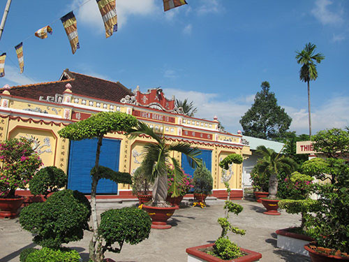 Cây sao ở chùa Thiên Quang.