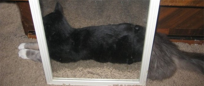 4. Sự kết hợp hoàn hảo giữa trong gương và đời thực. 