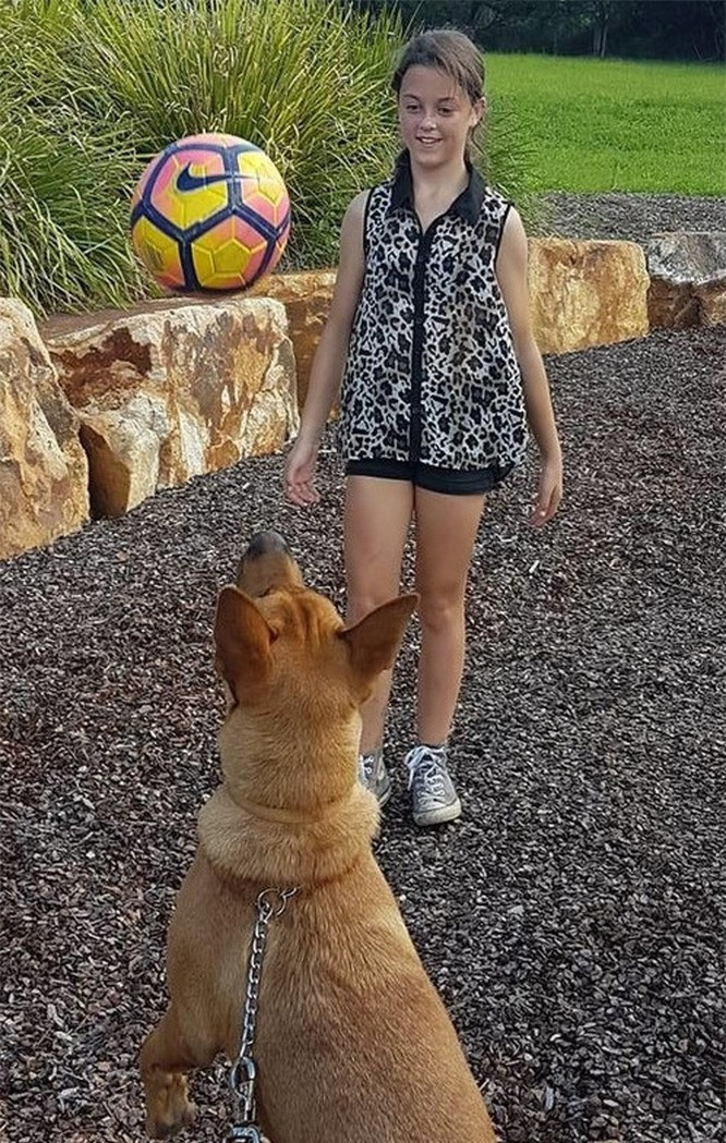 18. Phải chăng chú chó có "thuật thôi miên"? 