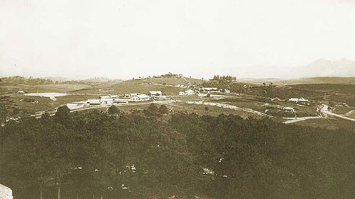 ##sc### Đà Lạt chụp từ trên cao, những cánh rừng thông bạt ngàn bao trùm thành phố. 