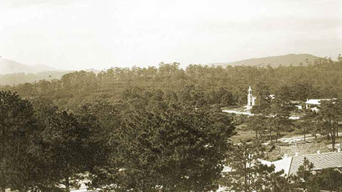 ##sc### Những ngôi biệt thự cổ nằm khuất trong rừng thông thuở còn hoang sơ. 