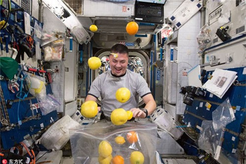 Nhà du hành của NASA - Kjell Lindgren - đang đùa nghịch trái cây được mang từ mặt đất lên ngày 25/8/2015. Những chuyến tàu chở hàng ghé thăm thường mang theo thực phẩm tươi cho các thành viên của Trạm Không gian Quốc tế.