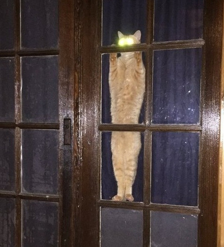 ##sc### "Một là cho tôi vào trong, hai là các người sẽ phải trả giá!". 