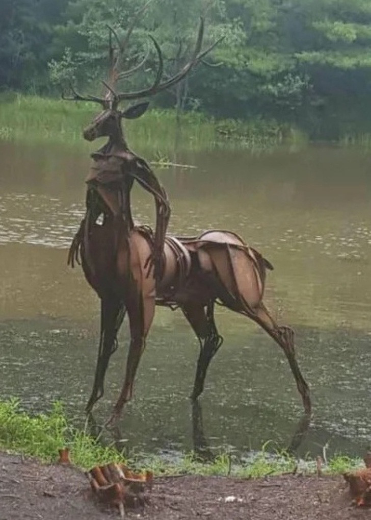 ##sc### Bạn sẽ như thế nào nếu gặp phải một loài nai kinh dị có 6 chi như thế này. 