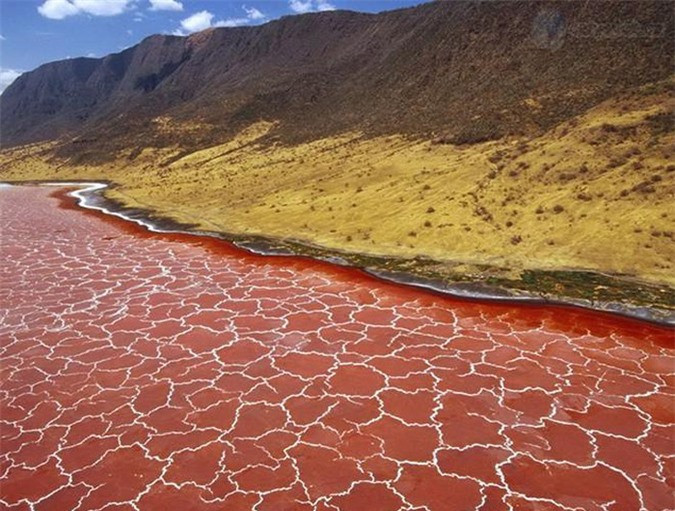 Dù có màu sắc kỳ lạ nhưng người bản địa không bao giờ tới gần hồ Natron, họ cho rằng nó không khác gì một chiếc hồ tử thần bởi khi các sinh vật đặt chân đến đây đều bị hóa đá một cách vô cùng bí ẩn. 