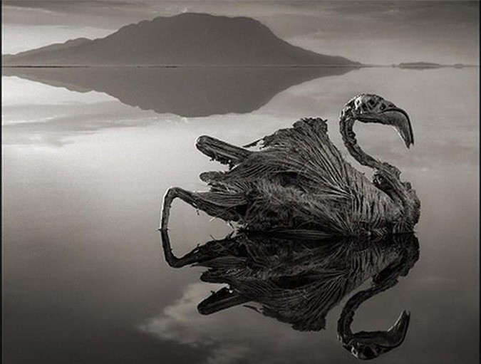 Với lượng pH vào khoảng 9 - 10,5 và nhiệt độ nước có thể lên tới 140 độ F (60 độ C), người ta tin rằng, bất kỳ loài động vật nào cũng có thể bị phân hủy và vôi hóa một cách nhanh chóng nếu chẳng may sa chân xuống mặt nước. 