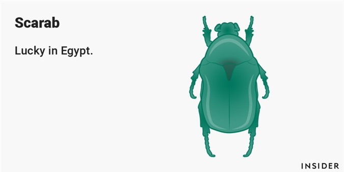 ##sc### Bọ hung: Trong văn hóa Ai Cập, bọ hung là biểu tượng của sự sự tái sinh, cuộc sống vĩnh hằng cũng như sự bảo vệ trước mọi loại tà ma, quỷ dữ. 