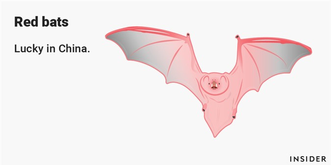 ##sc### Dơi đỏ: Được cho là có thể xua đuổi tà ma, dơi đỏ là biểu tượng thường được sử dụng trong trang trí, tượng trưng cho sự may mắn trong văn hóa Trung Hoa. Thường thì dơi đỏ được vẽ hoặc được tạo thành một chùm 5 con, đại diện cho 5 điều phước lành là sức khỏe, trường thọ, tình yêu, phú quý và đức hạnh. 
