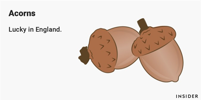 ##sc### Quả sồi: Những quả sồi tượng trưng cho tuổi trẻ, sự tỉnh trí và thịnh vượng. Trước đó, trong một thời gian dài, chúng còn là biểu tượng của quyền lực và sự lớn mạnh cũng như thường được người Anh mang theo trong những cuộc chinh phạt của người Norman. 