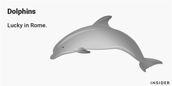 ##sc### Cá heo: Ở Rome, Italy, người ta cho rằng cá heo tượng trưng cho sự may mắn bởi chúng là dấu hiệu của sự bảo vệ. Thời cổ đại, các thủy thủ dày dạn kinh nghiệm ngoài biển khơi có thể dựa vào việc quan sát những chú cá heo mà đoán được những vùng đất liền gần đó. 